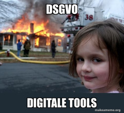 Disaster Girl
