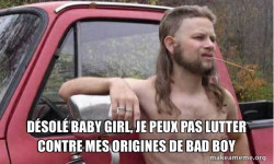 Almost Politically Correct Redneck