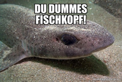 Dirty Joke Dogfish