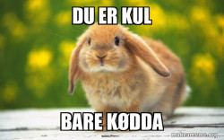 Regretful Rabbit