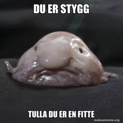 Blobfish