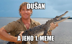 Steve irwin