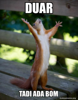 Happy Squirrel