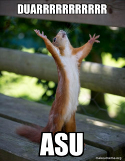 Happy Squirrel