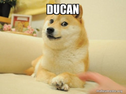 Doge