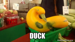 Gourd Advice Mallard