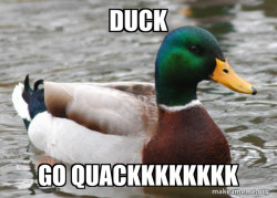 Actual Advice Mallard