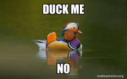 Fashionable Advice Mallard