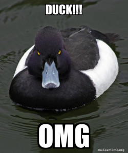 Revenge Duck ( Angry Advice Duck )