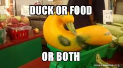 Gourd Advice Mallard