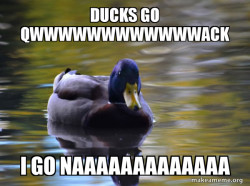 naaaaa qwack