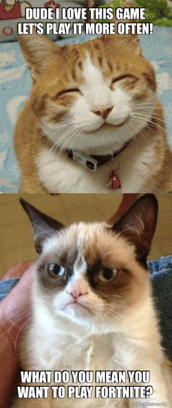Grumpy Cat vs Happy Cat