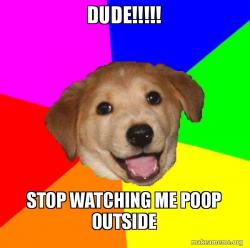 Advice Dog