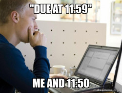 Programmer