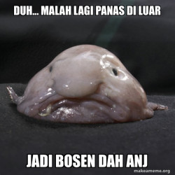 Blobfish