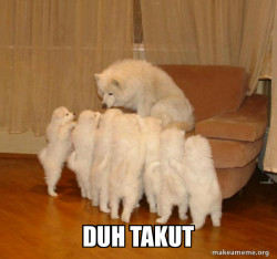 Storytelling Dog