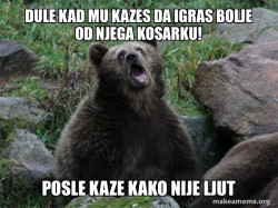 Sarcastic Bear