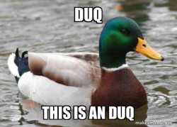 Actual Advice Mallard