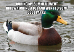 Actual Advice Mallard