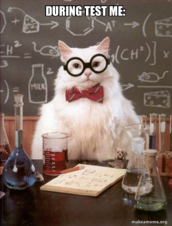 Chemistry Cat