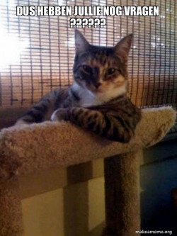 The Most Interesting Cat in the World