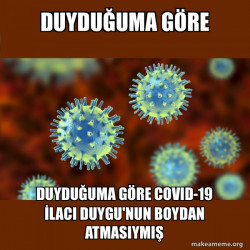 Coronavirus ( COVID-19 )