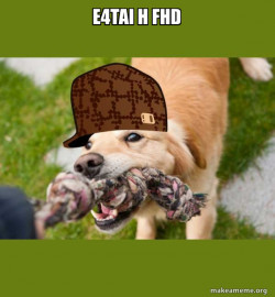 Scumbag dog