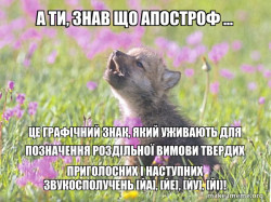 Baby Insanity Wolf