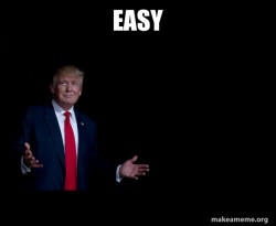 Trump Everything is FIne
