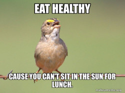 Not a type of lunch.