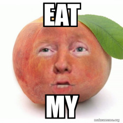 Impeached Donald Trump