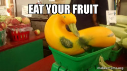Gourd Advice Mallard