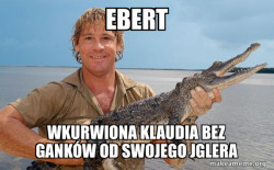 Steve irwin