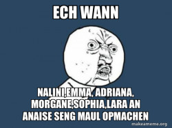 Y U No