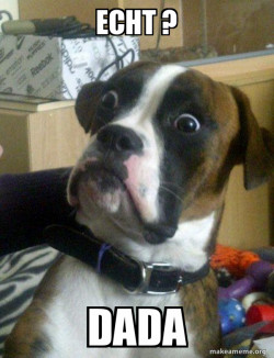 Skeptical Dog