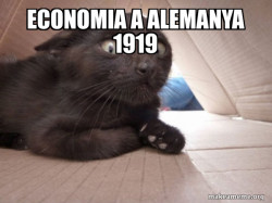 Schitzo Cat
