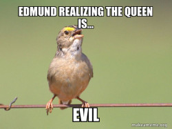 Common Opinion Sparrow
