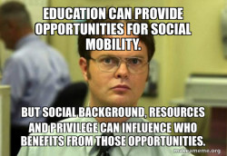 Schrute Facts (Dwight Schrute from The Office)