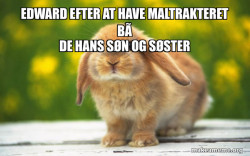 Regretful Rabbit