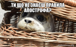 Impending Doom Seal