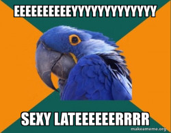 Paranoid Parrot