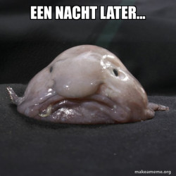 Blobfish