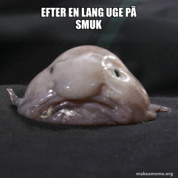 Blobfish