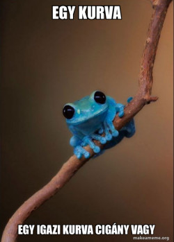 Small Fact Frog