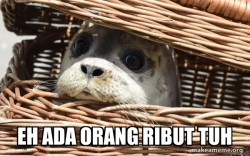 Impending Doom Seal