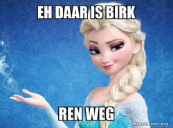 wanneer je birk ziet