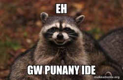 Evil Plotting Raccoon