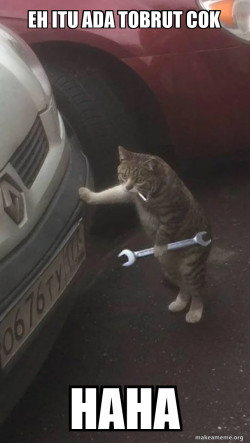 Mechanic Cat