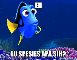 Dory from Nemo  (5 second memory)