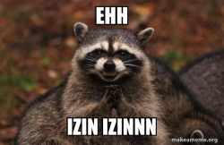 Evil Plotting Raccoon